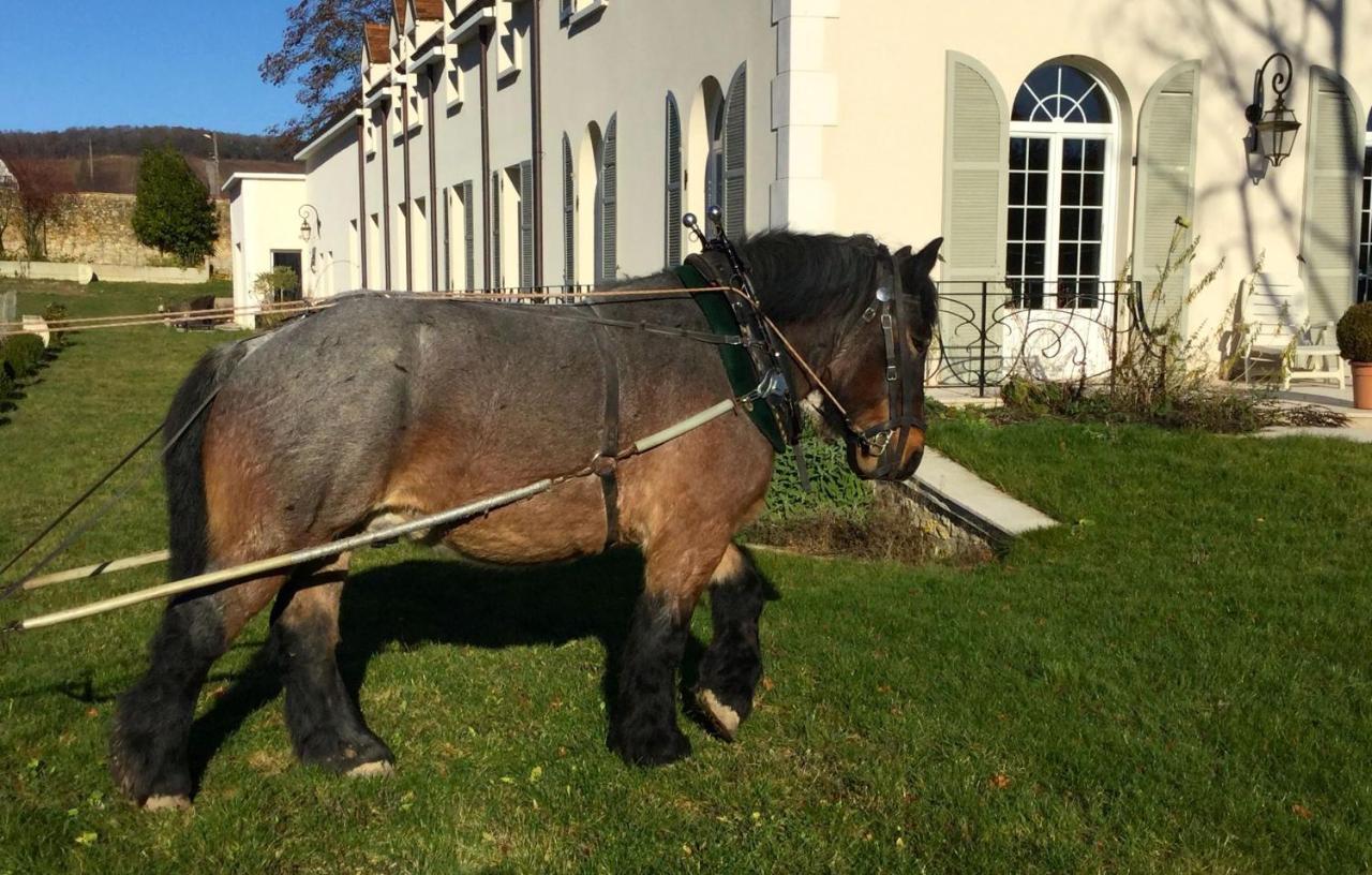 Le Clos Des Belvals Blancs-Coteaux Exteriér fotografie