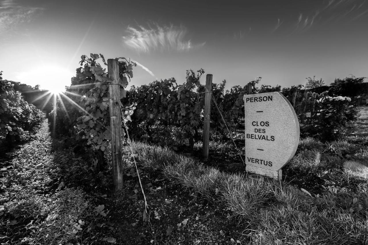 Le Clos Des Belvals Blancs-Coteaux Exteriér fotografie